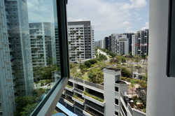 Blk 871C Tampines Greenlace (Tampines), HDB 4 Rooms #317372471